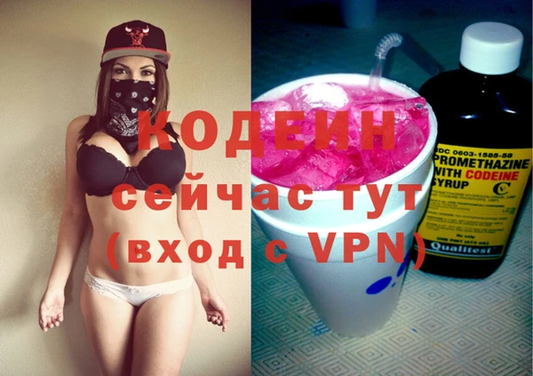 индика Осинники