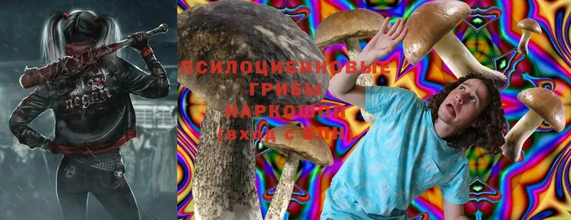 Псилоцибиновые грибы MAGIC MUSHROOMS  закладки  Кимры 