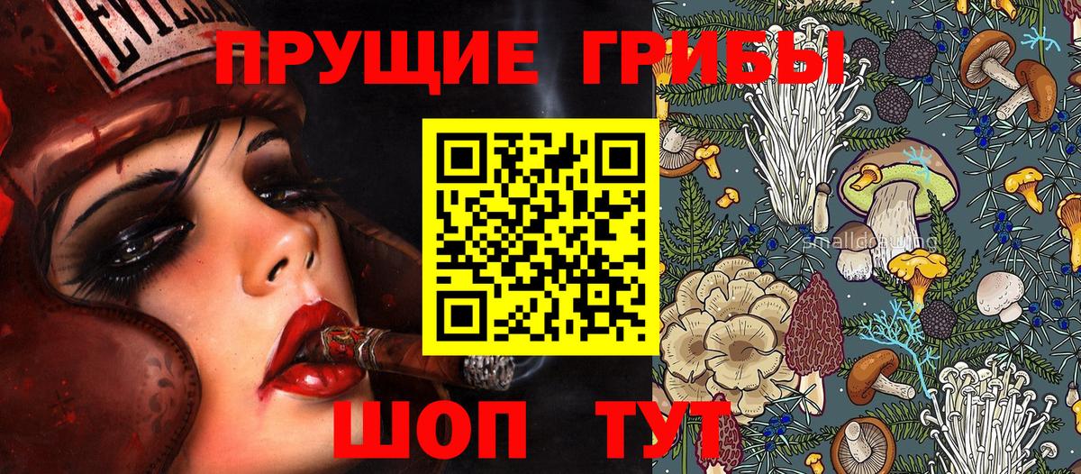 Псилоцибиновые грибы Magic Shrooms  Кимры  Галлюциногенные грибы мухоморы 