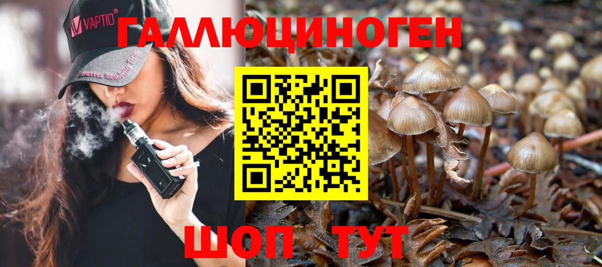 Галлюциногенные грибы Magic Shrooms Кимры