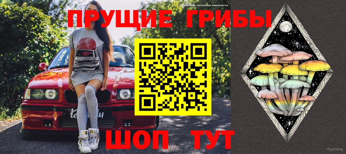 Галлюциногенные грибы Psilocybe  Вход с VPN  Кимры 